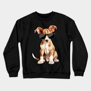 Ibizan Hound Puppy Wearing Sunglasses Crewneck Sweatshirt